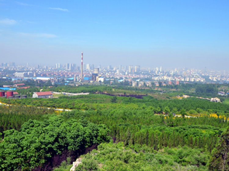 01.jpg