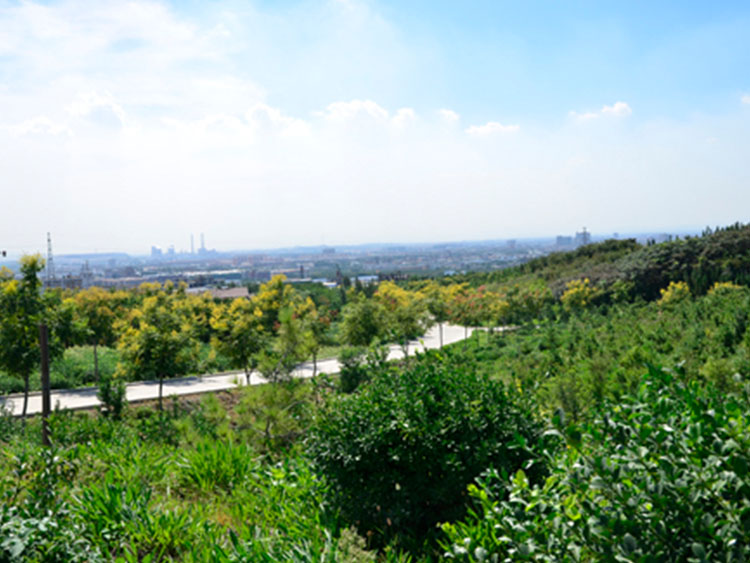 01.jpg